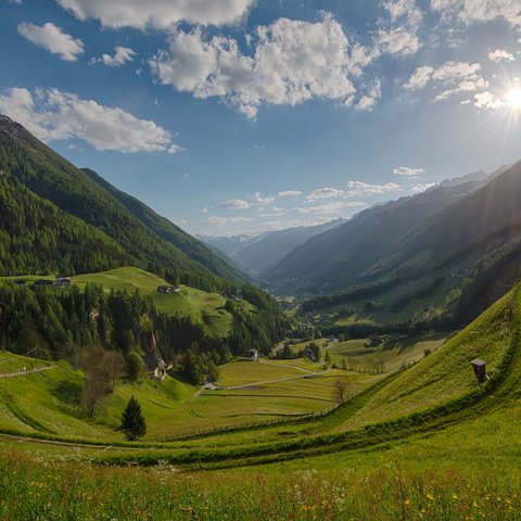 Bildergalerie Bildergalerie