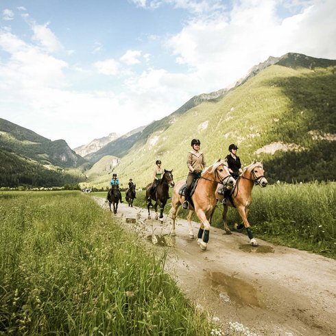 Das Ahrntal Das Ahrntal
