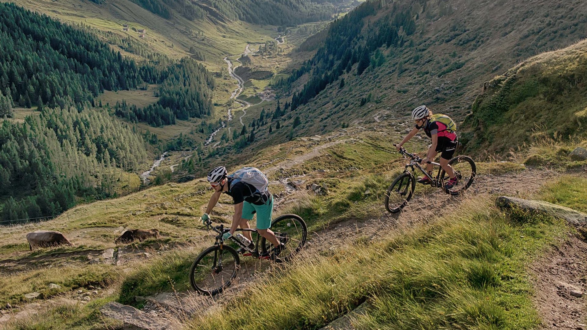 A mountain bike to explore South Tyrol's Dolomites