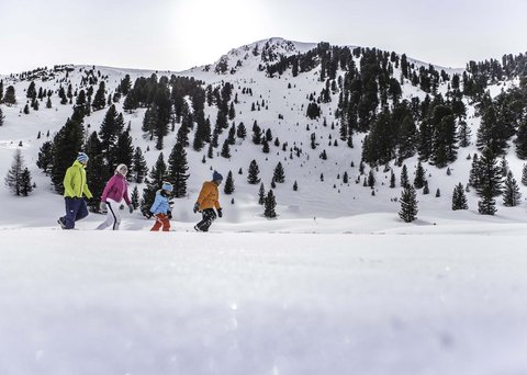 Bildergalerie Bildergalerie