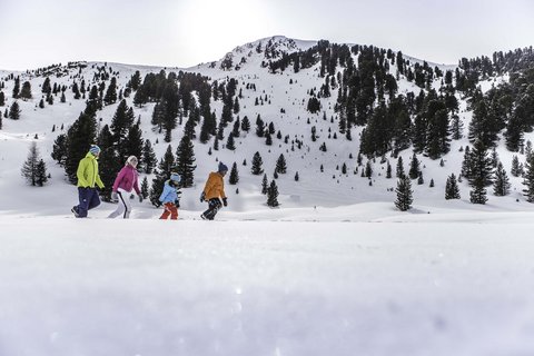 Bildergalerie Bildergalerie