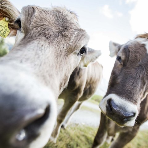 Bildergalerie Bildergalerie