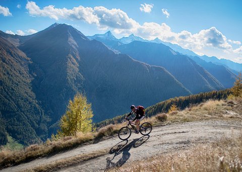 Bildergalerie Bildergalerie