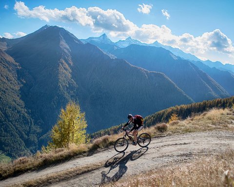 Bildergalerie Bildergalerie