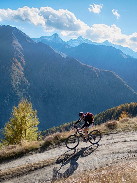 Bildergalerie Bildergalerie