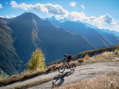 Bildergalerie Bildergalerie