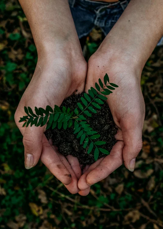 Nachhaltigkeit | GoGreen Wellnesshotel Ahrntal Südtirol Nachhaltigkeit | GoGreen Wellnesshotel Ahrntal Südtirol