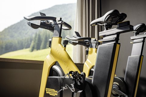 Bildergalerie Bildergalerie