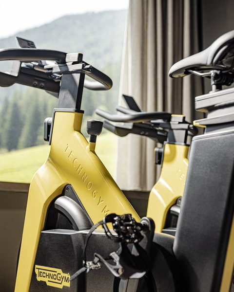 Bildergalerie Bildergalerie