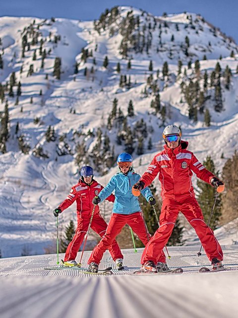 Bildergalerie Bildergalerie