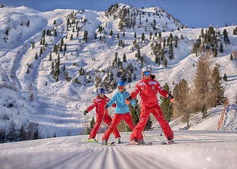 Bildergalerie Bildergalerie