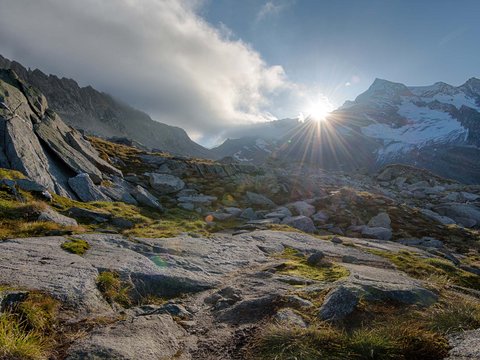 Bildergalerie Bildergalerie