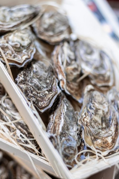 Bildergalerie Bildergalerie