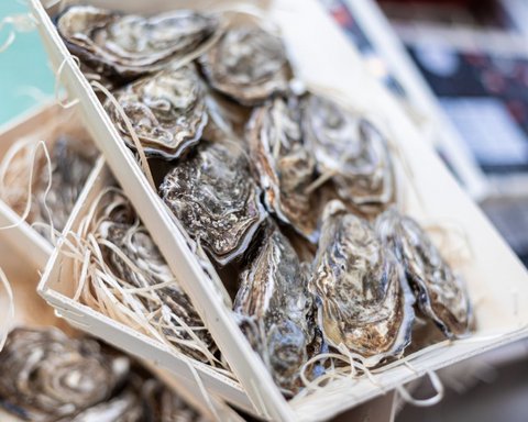 Bildergalerie Bildergalerie