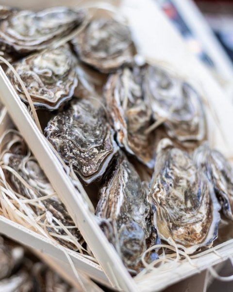 Bildergalerie Bildergalerie