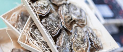 Bildergalerie Bildergalerie