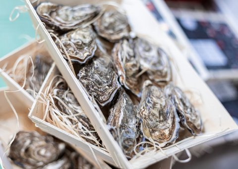 Bildergalerie Bildergalerie