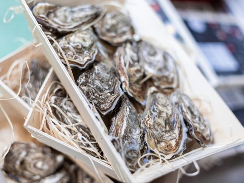 Bildergalerie Bildergalerie