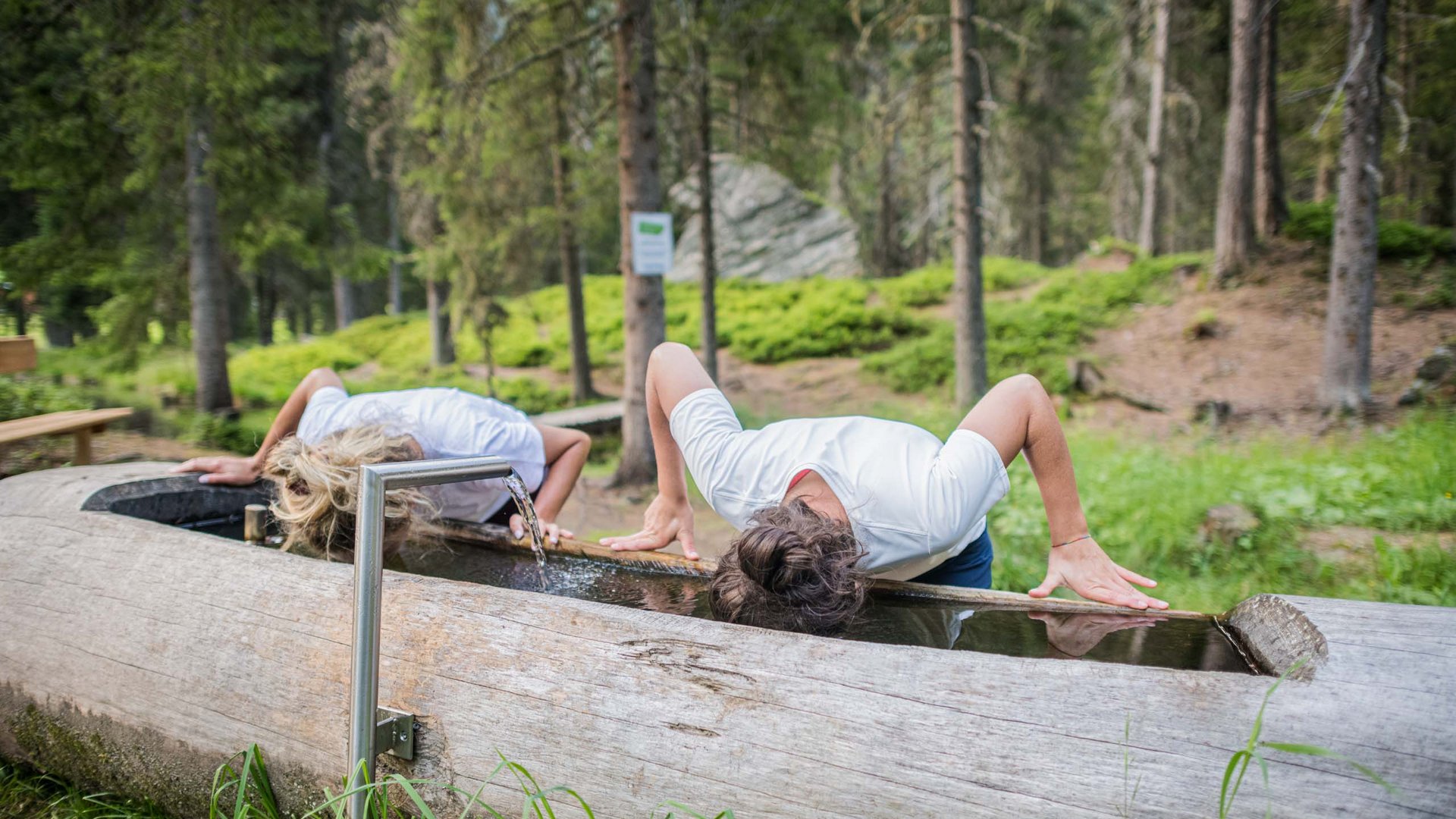 Foto: escursioni guidate in montagna durante le vacanze.