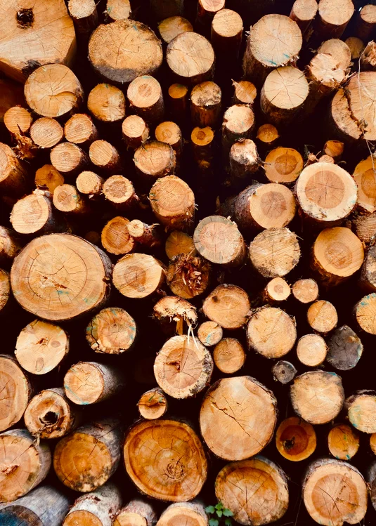 Nachhaltigkeit | GoGreen Wellnesshotel Ahrntal Südtirol Nachhaltigkeit | GoGreen Wellnesshotel Ahrntal Südtirol
