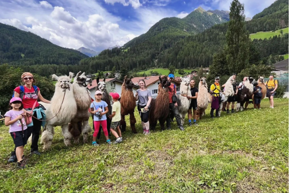 Tages Mehrtagstouren Und Familienwanderungen tages-mehrtagstouren-und-familienwanderungen